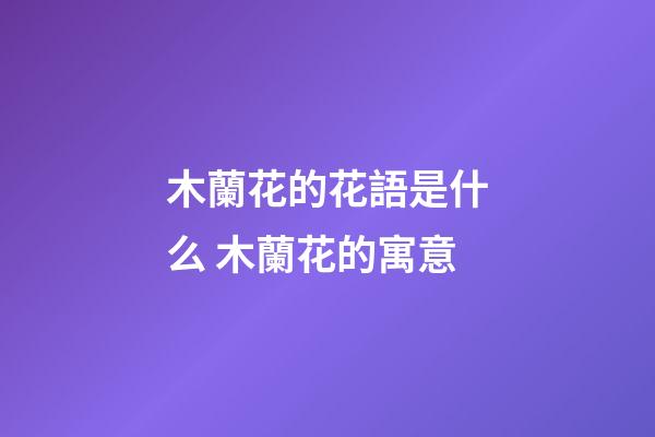 木蘭花的花語是什么 木蘭花的寓意